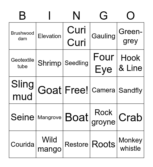 Mangrove Restoration Bingo Card