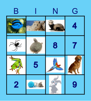 Pets and Numbers Bingo Card