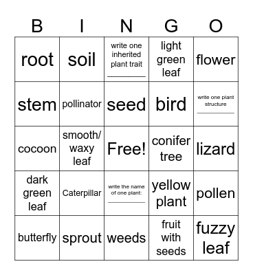 Nature Walk Bingo Card