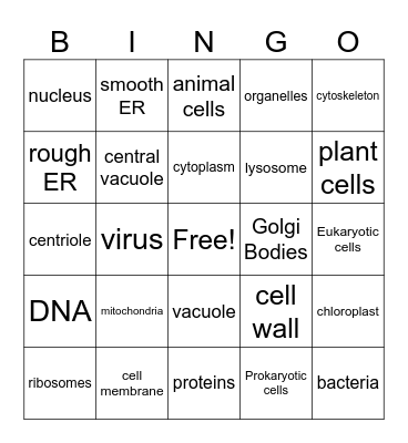 Organelles Bingo Card