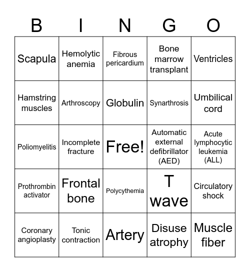 BIO206 Midterm Exam BINGO Review Bingo Card