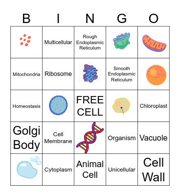 Organelle Bingo Card