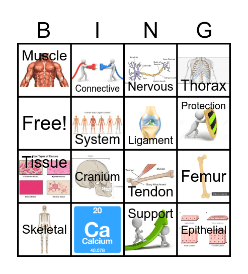 Bone Bingo Card