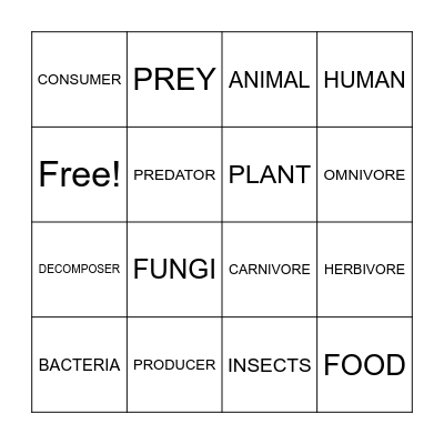 Food Chains Bingo Card