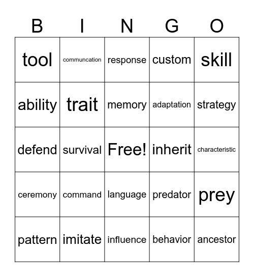 Vocabulary Bingo Card