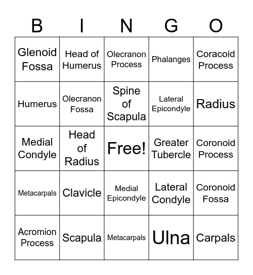UE Skeleton Bingo Card