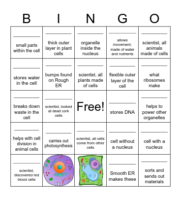 Cell Quiz Bingo Card