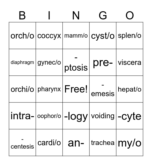 Medical Terminology Bingo Card