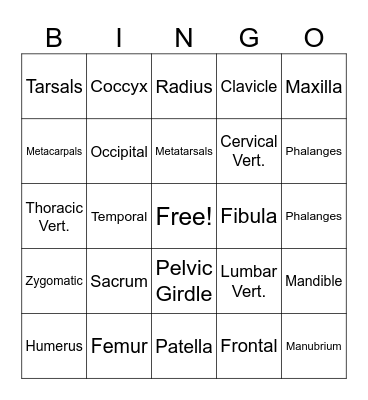 SKELETAL SYSTEM Bingo Card