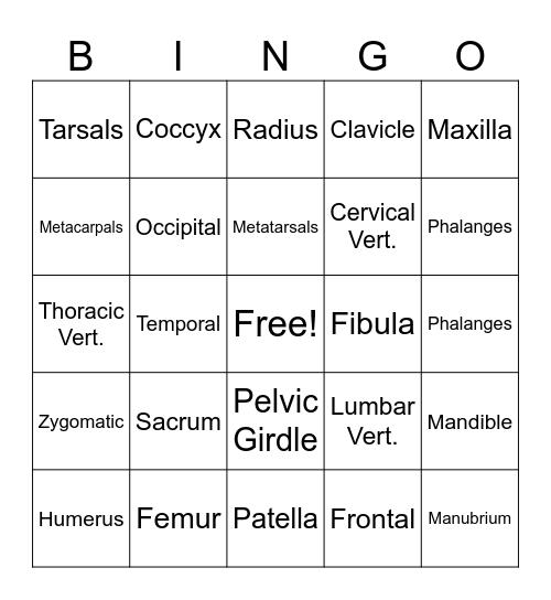 SKELETAL SYSTEM Bingo Card