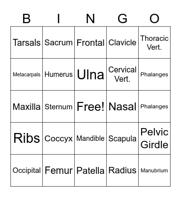SKELETAL SYSTEM Bingo Card