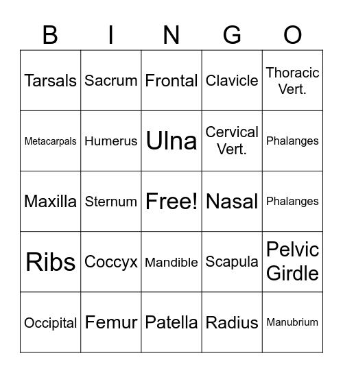 SKELETAL SYSTEM Bingo Card