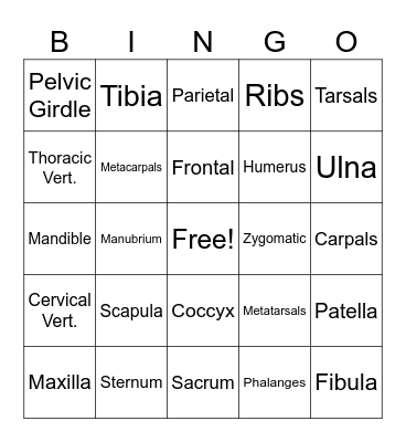 SKELETAL SYSTEM Bingo Card