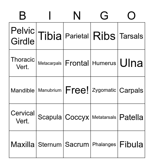 SKELETAL SYSTEM Bingo Card