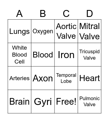 Science Bingo Card