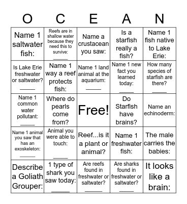 Your aquarium experience Bingo Card