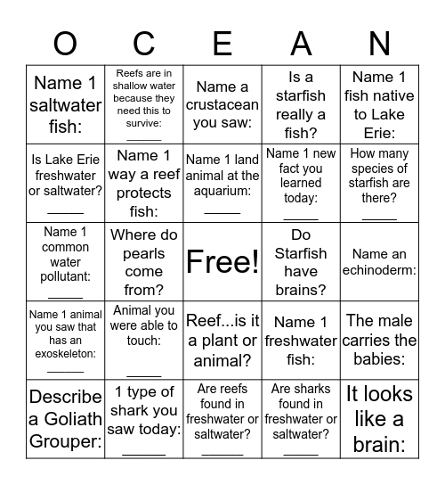 Your aquarium experience Bingo Card