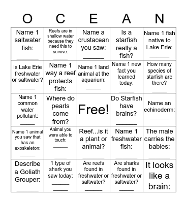 Your aquarium experience Bingo Card