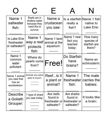 Your aquarium experience Bingo Card