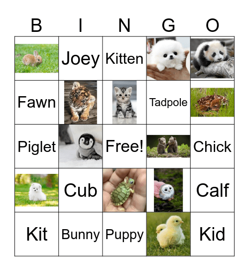 Baby Animal Bingo! Bingo Card