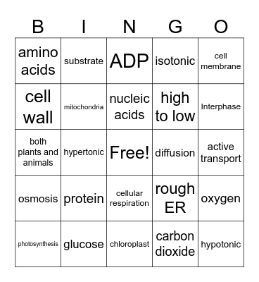 Biology Interim Review Bingo Card