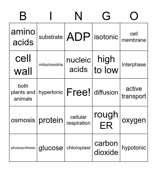 Biology Interim Review Bingo Card