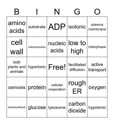 Biology Interim Review Bingo Card