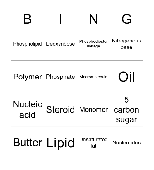 Lipids and Nucleic Acids Bingo Card