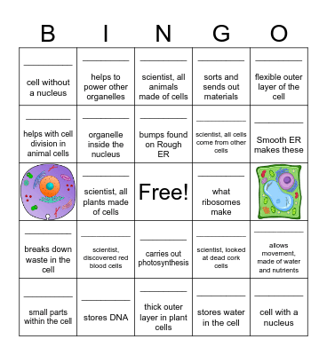 Cell Quiz Bingo Card