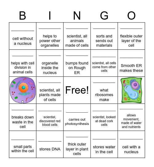 Cell Quiz Bingo Card