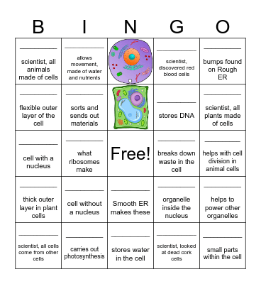 Cell Quiz Bingo Card