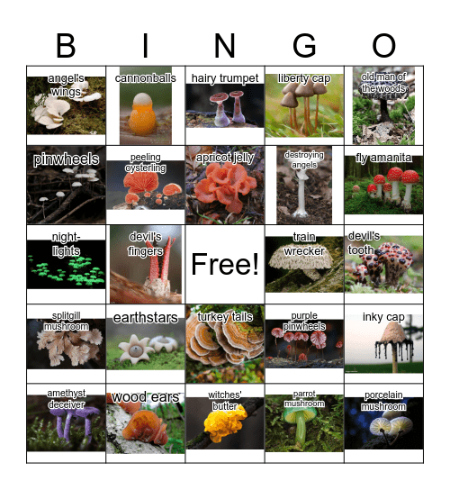 Mushroom Bingo Card