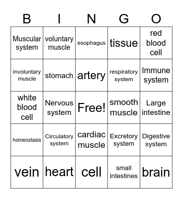Human Body Systems Bingo Card