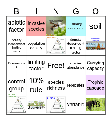 Honors Biology Unit 1 Bingo Card