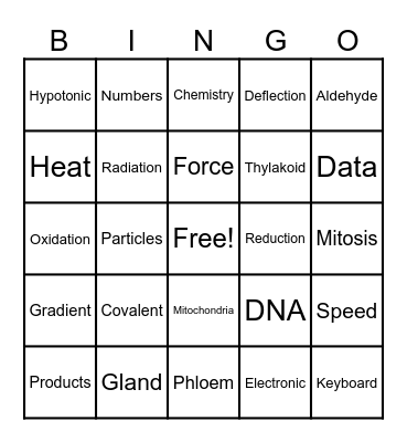 NSTW Bingo Card