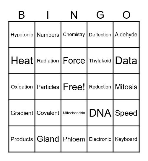 NSTW Bingo Card