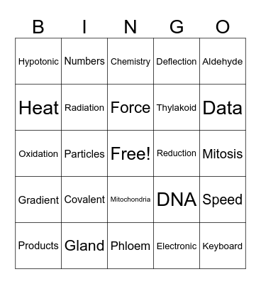 NSTW Bingo Card