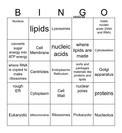 Cell Functions Bingo Card