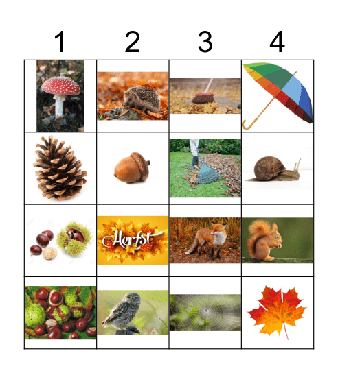 Herfst Bingo Card