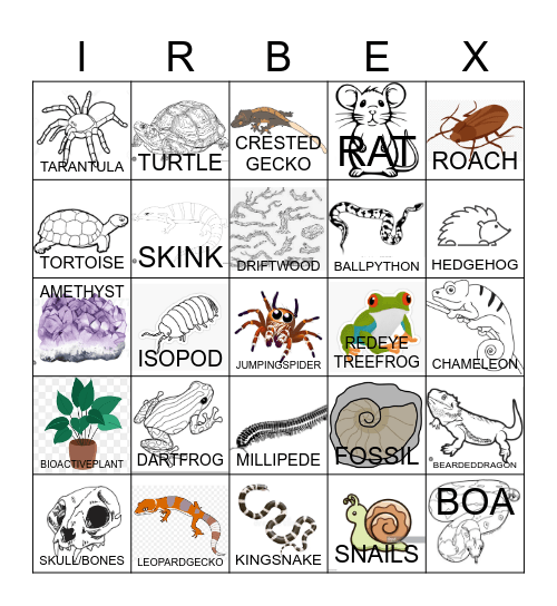 SEEKABOO! REPTILE EDITION Bingo Card