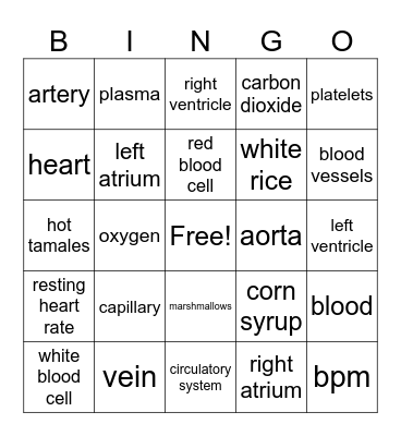 Circulatory System Bingo Card