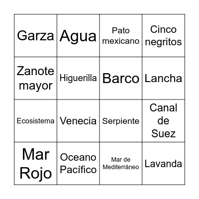 Canales Bingo Card