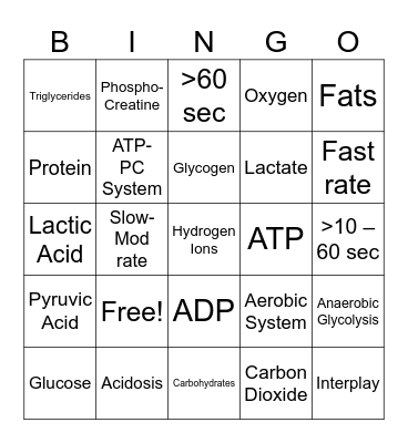 Energy Systems Bingo Card