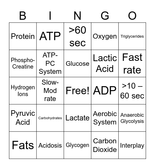 Energy Systems Bingo Card