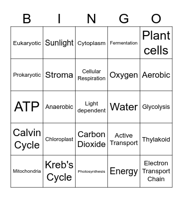 Cell Energy Bingo Card