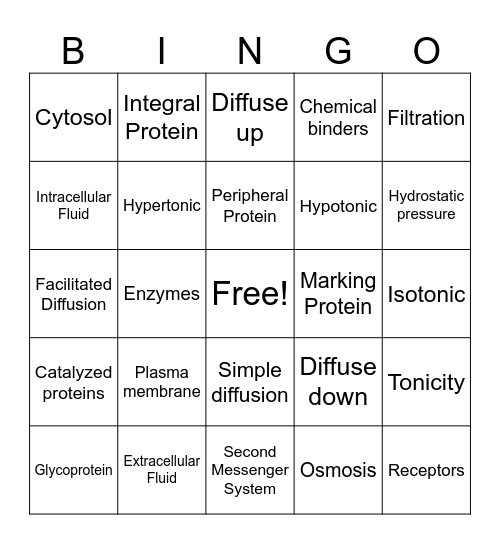 Chapter 3 - Cell function Bingo Card