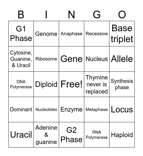 Chapter 4 - Genetics Bingo Card