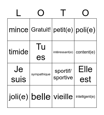 Les adjectifs - French 1 Bingo Card