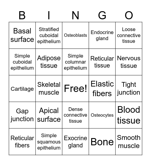 Chapter 5 - Histology bingo Card
