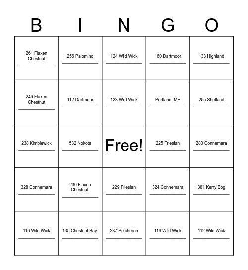 Solos Address Blackout Bingo Card